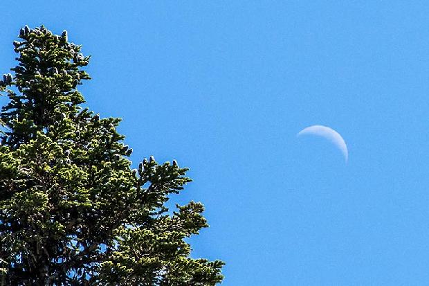 Moon over Mt. Hood