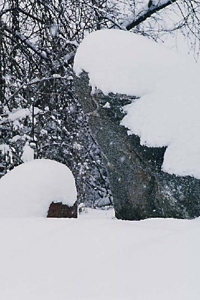 Snow Scene