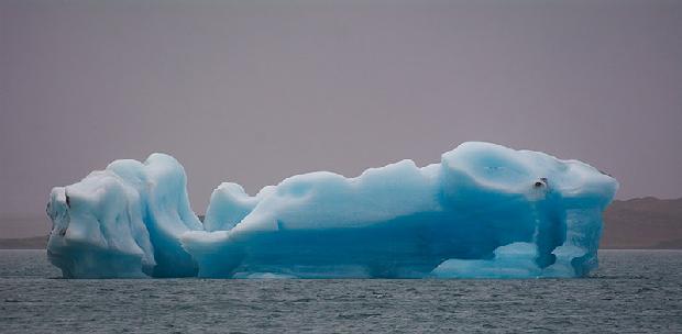 Iceberg  