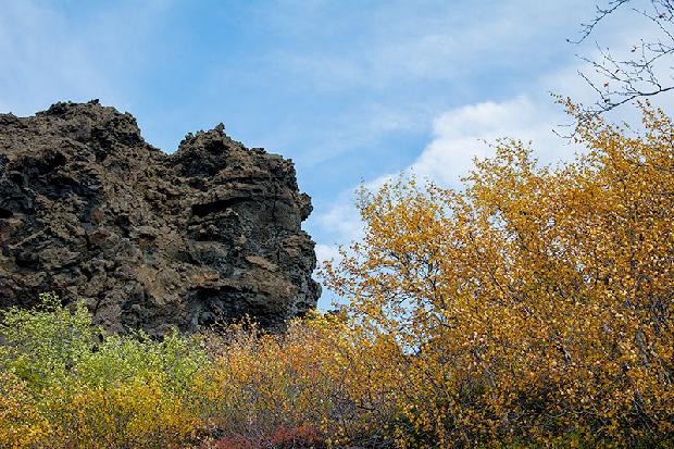 Autumn colors with lava formations