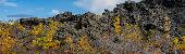AUTUMN COLORS WITH LAVA FORMATIONS